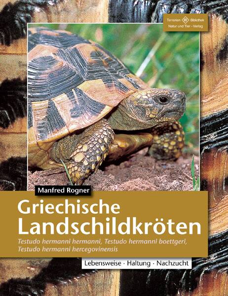 Griechische Landschildkröten